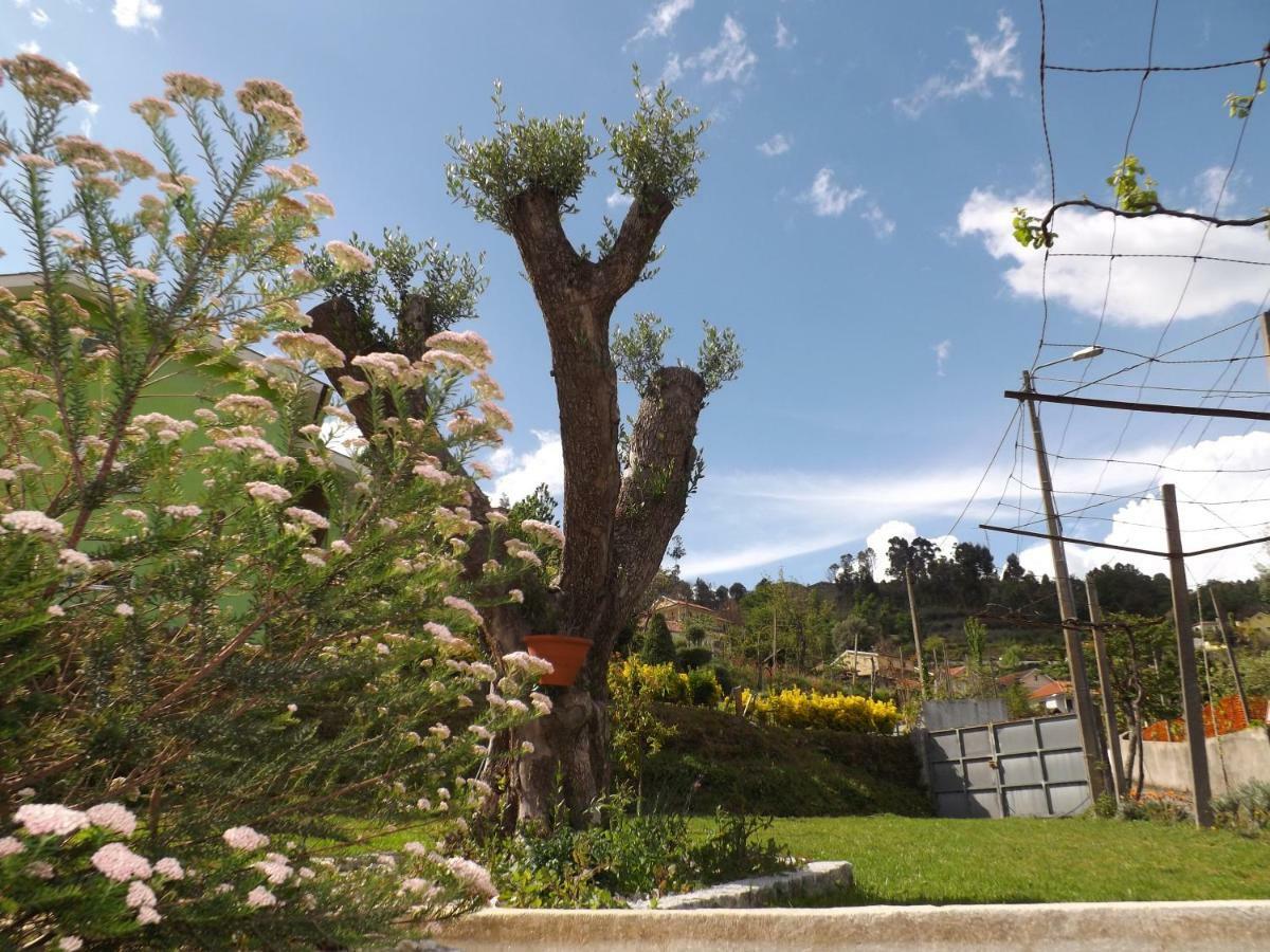 Villa Casa Oliveira Grovelas Esterno foto
